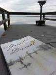 On the dock in the Dismal with the book that brought me here.